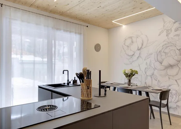 The Nest - Trilo - Wifi - Box - Cortile - Magnolta *